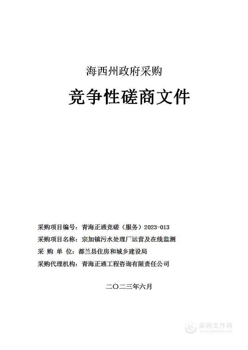 宗加镇污水处理厂运营及在线监测项目