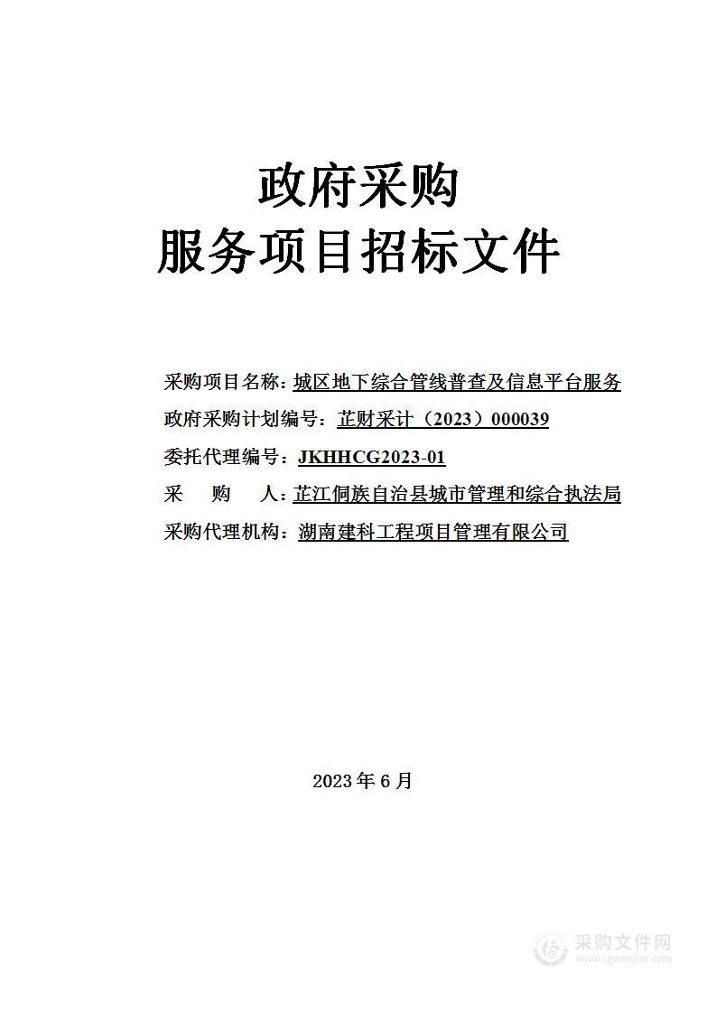 城区地下综合管线普查及信息平台服务