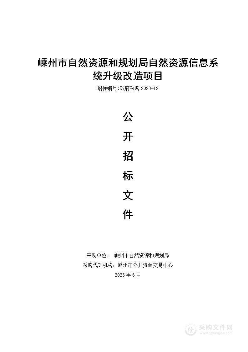 嵊州市自然资源和规划局自然资源信息系统升级改造项目