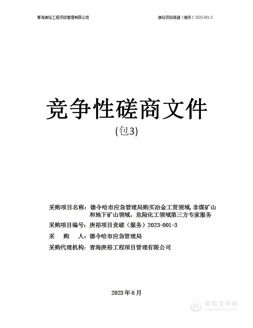 德令哈市应急管理局购买冶金工贸领域,非煤矿山和地下矿山领域，危险化工领域第三方专家服务