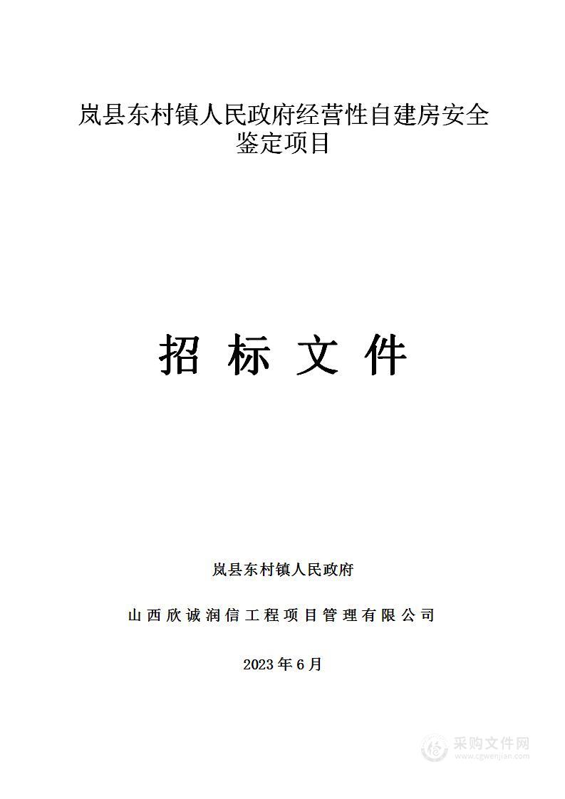 岚县东村镇人民政府经营性自建房安全鉴定项目