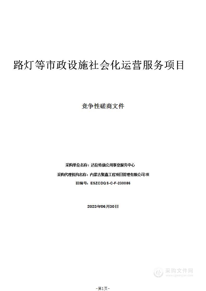 路灯等市政设施社会化运营服务项目