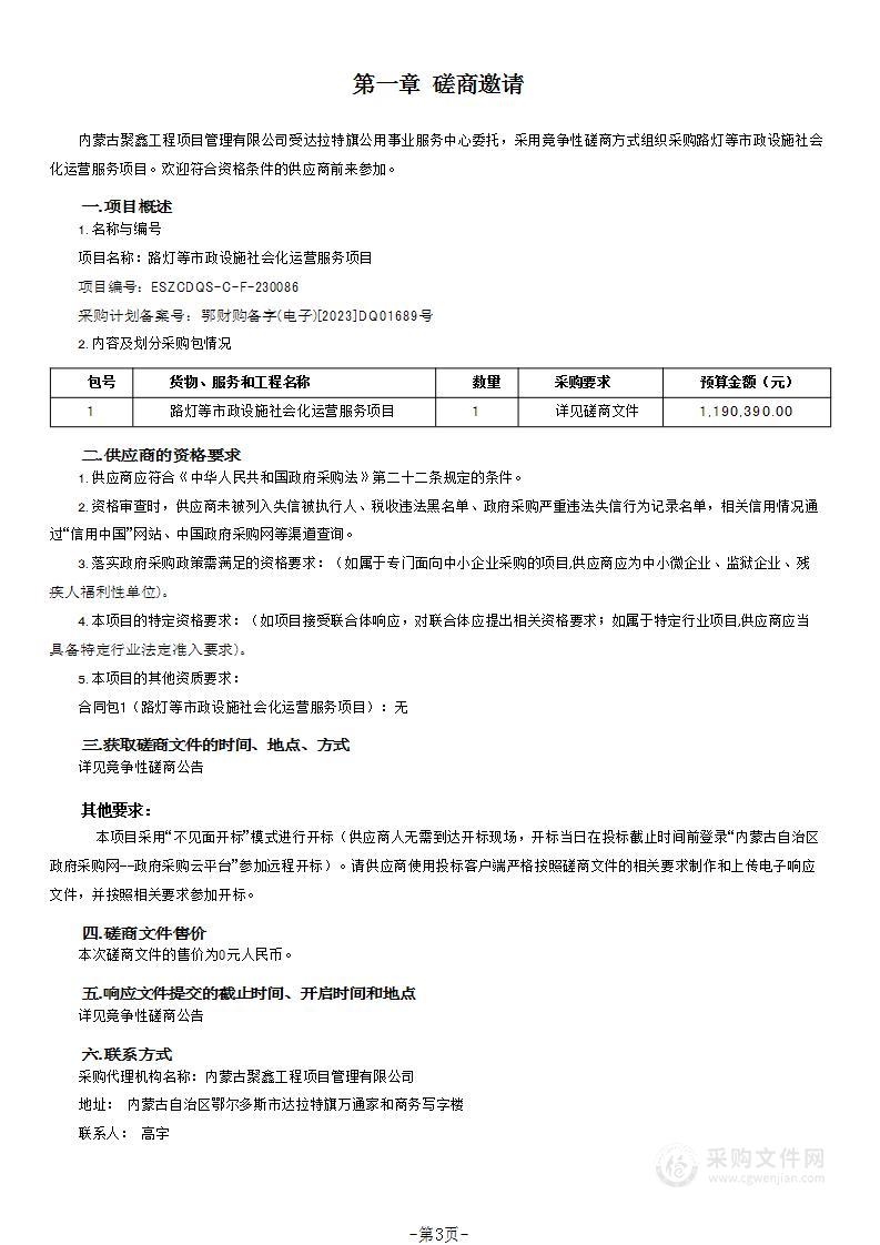 路灯等市政设施社会化运营服务项目