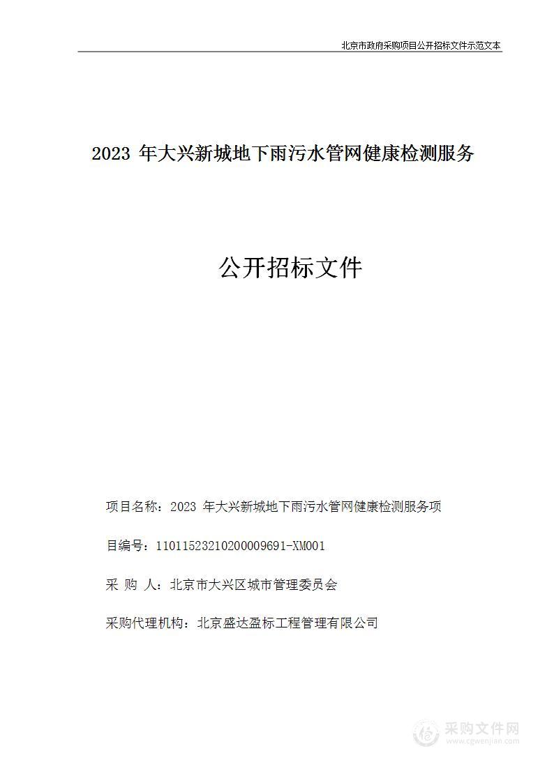 2023年大兴新城地下雨污水管网健康检测服务