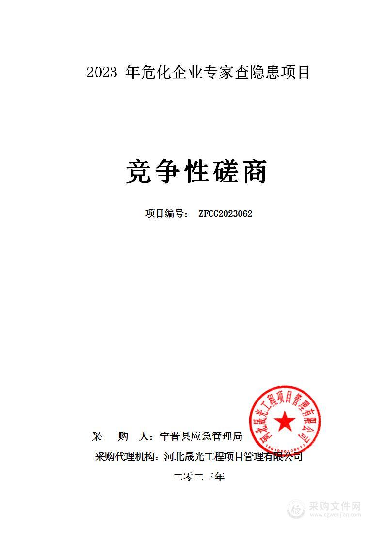 2023年危化企业专家查隐患项目