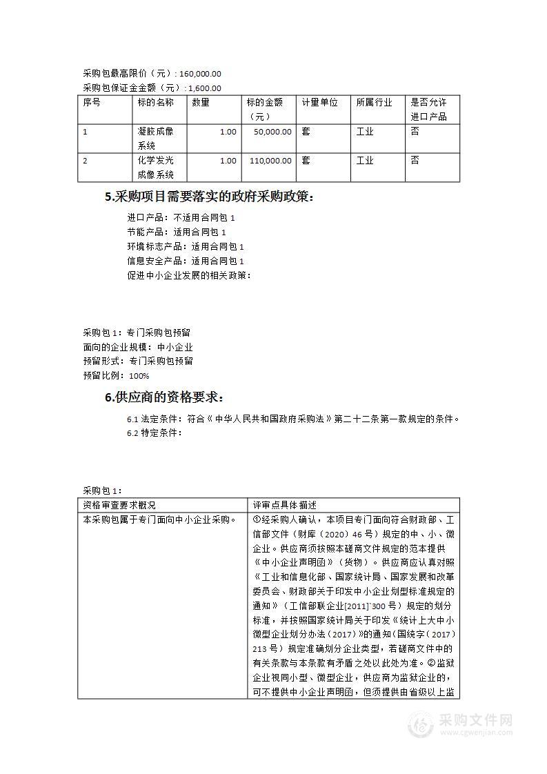 凝胶成像系统+化学发光成像系统