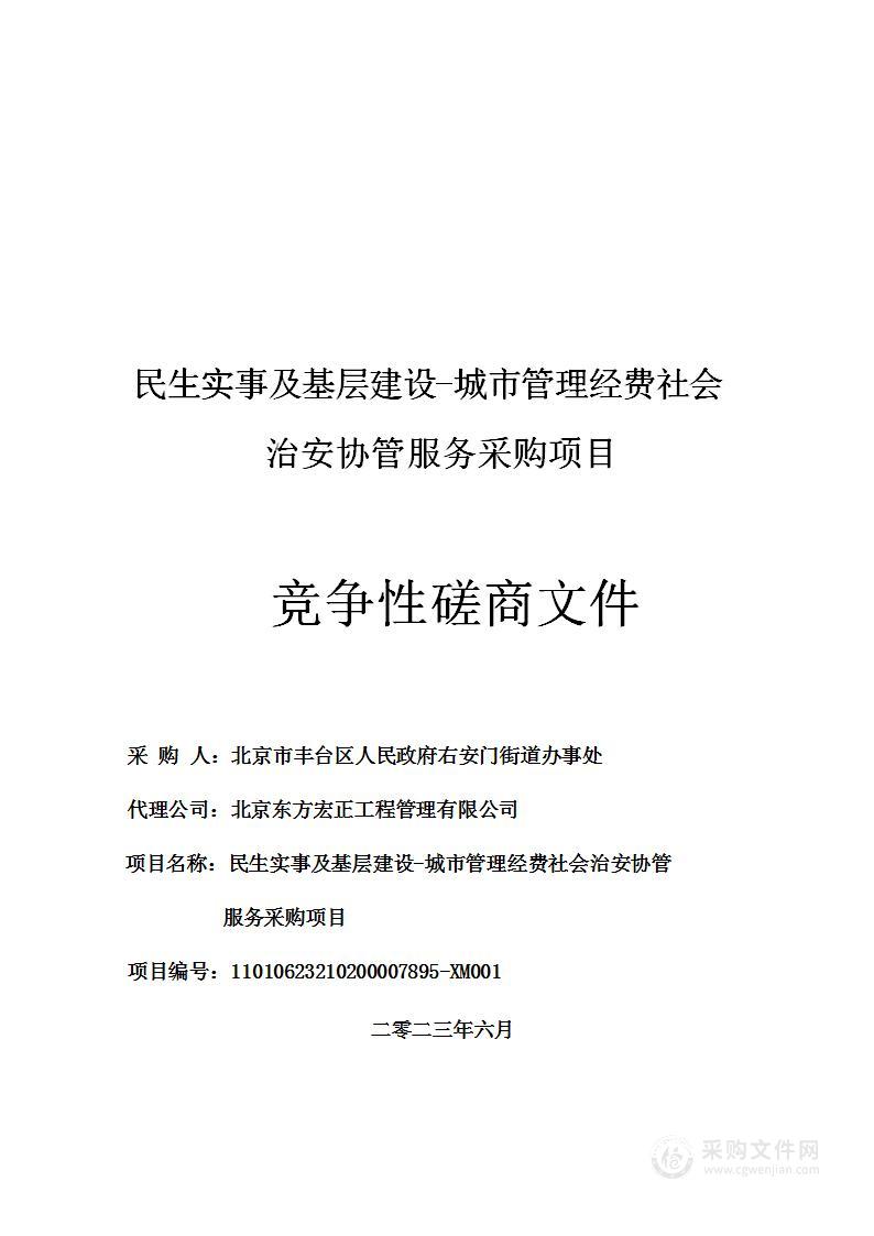 民生实事及基层建设-城市管理经费社会治安协管服务采购项目