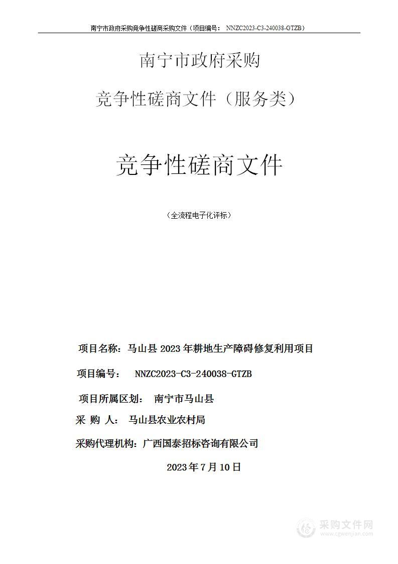 马山县2023年耕地生产障碍修复利用项目