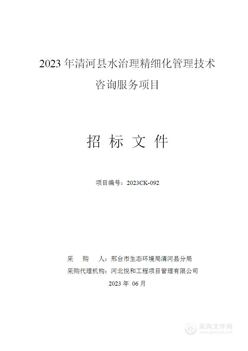 2023年清河县水治理精细化管理技术咨询服务项目