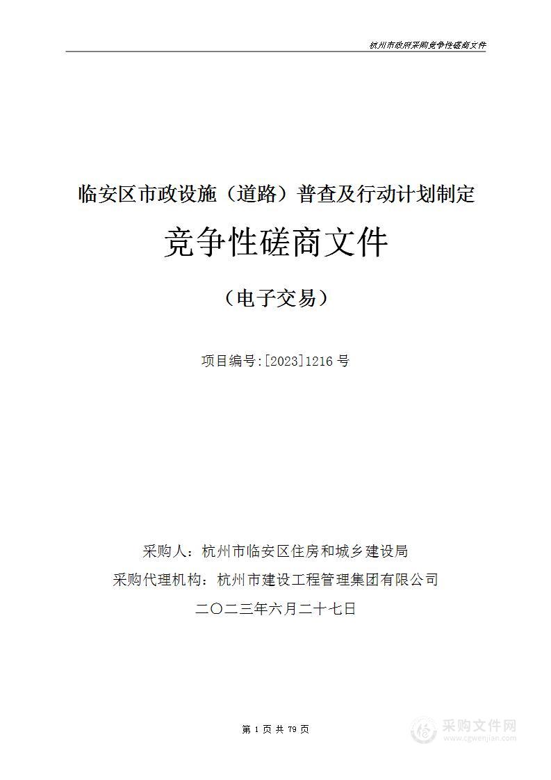 临安区市政设施（道路）普查及行动计划制定