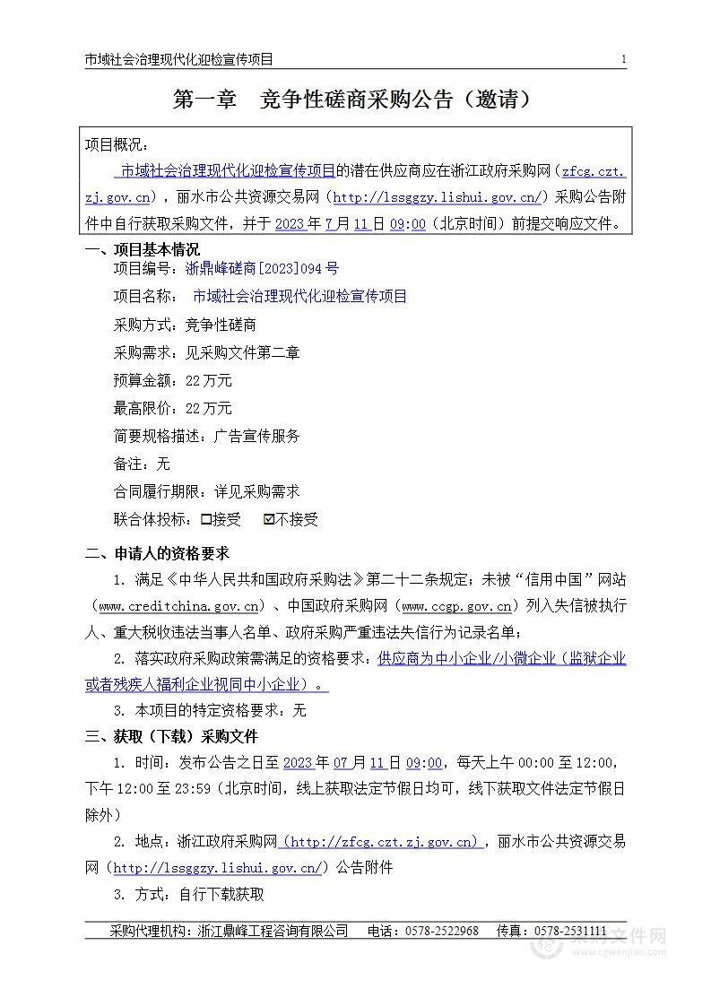 市域社会治理现代化迎检宣传项目