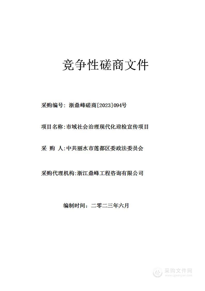 市域社会治理现代化迎检宣传项目