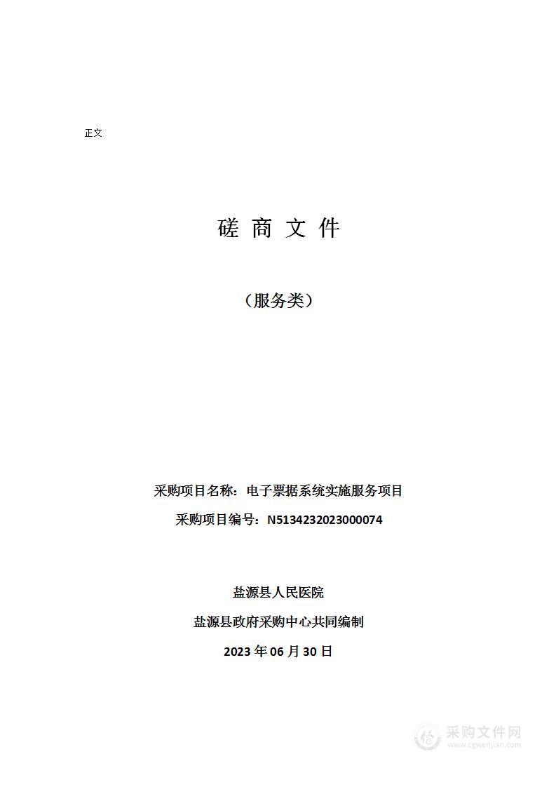 盐源县人民医院电子票据系统实施服务项目