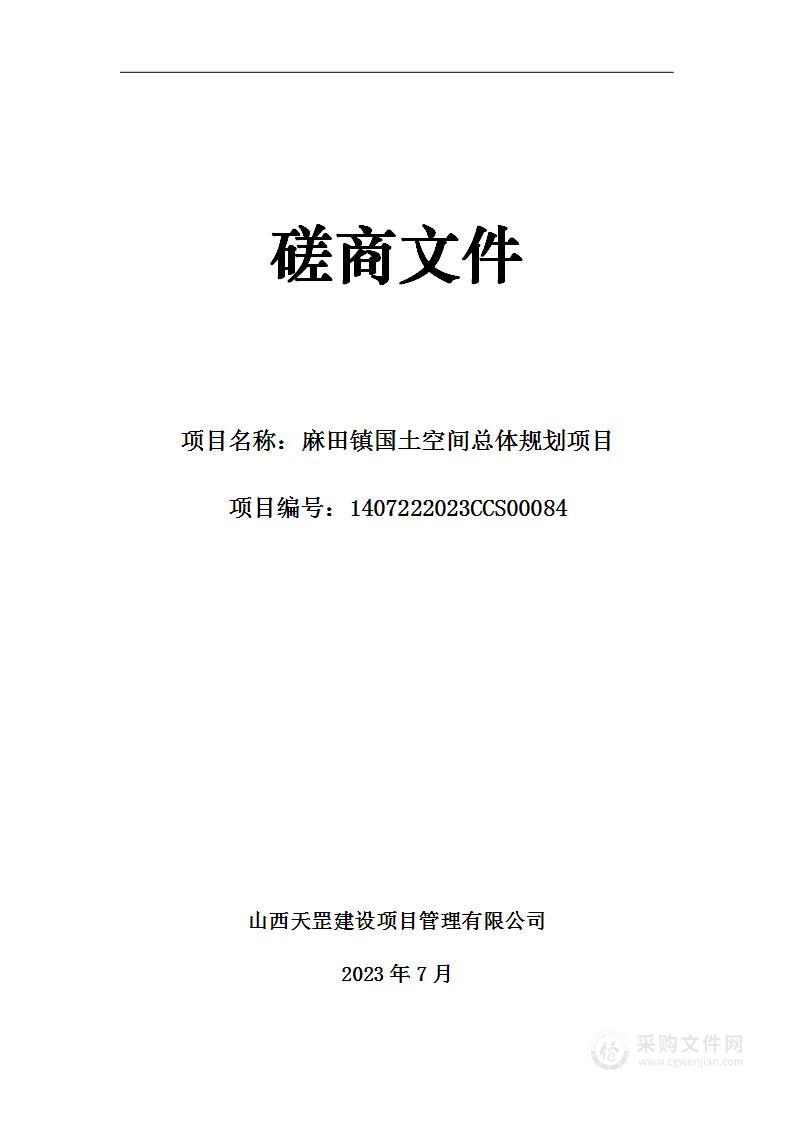 麻田镇国土空间总体规划项目