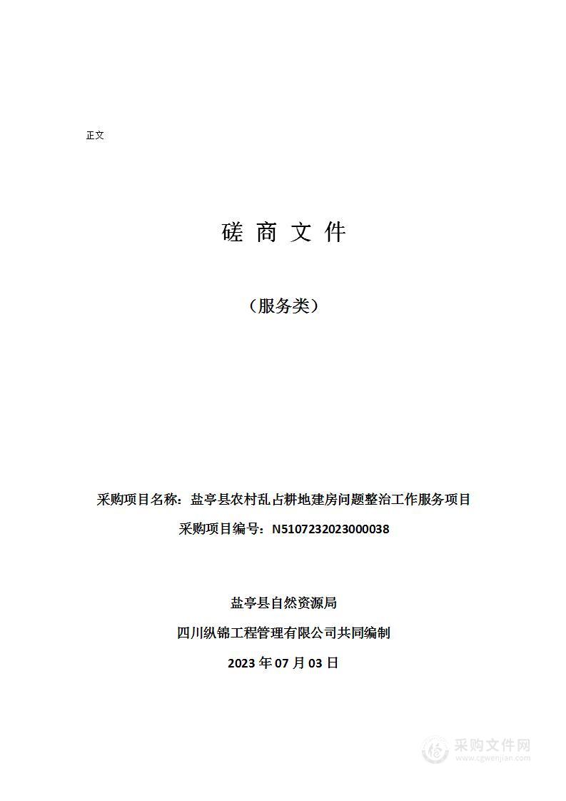 盐亭县农村乱占耕地建房问题整治工作服务项目