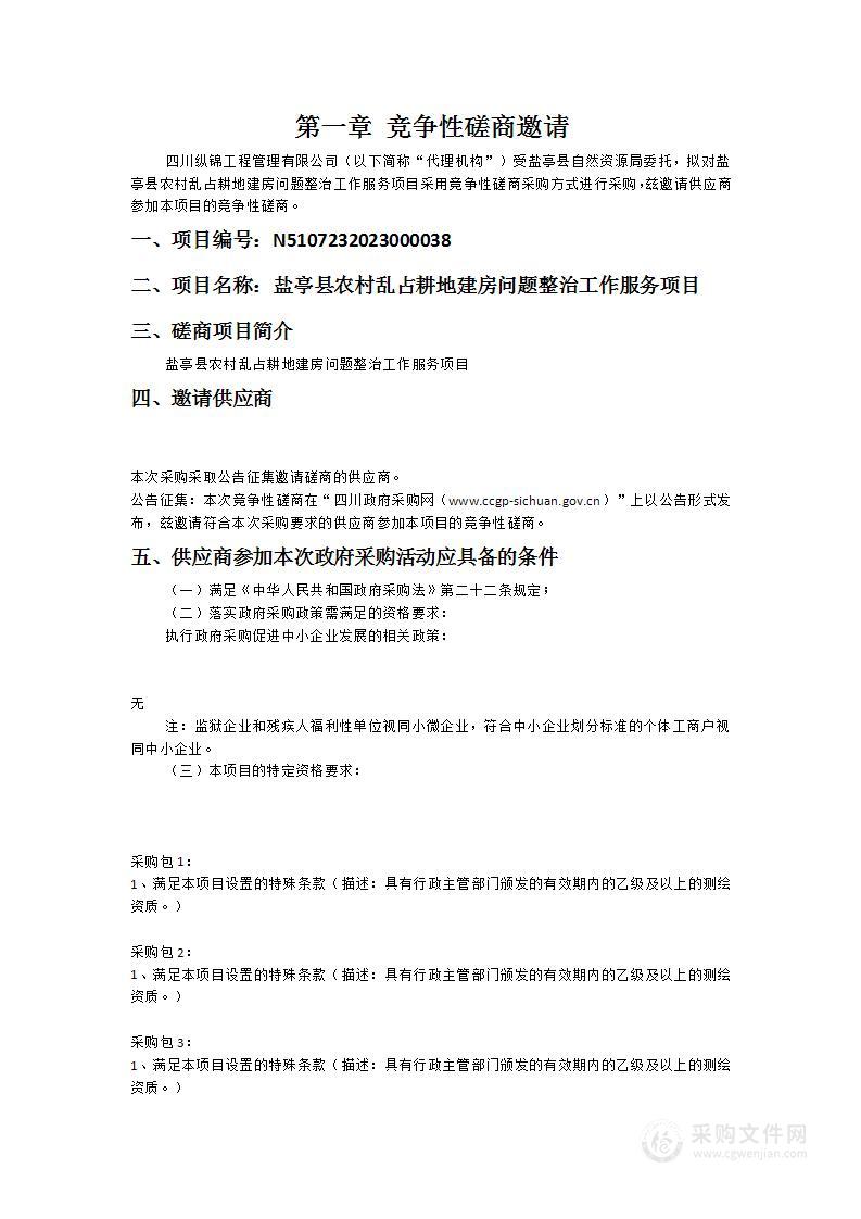 盐亭县农村乱占耕地建房问题整治工作服务项目