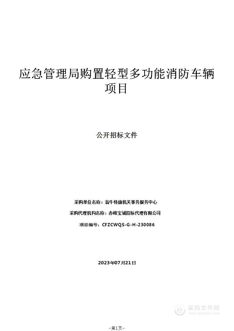 应急管理局购置轻型多功能消防车辆项目