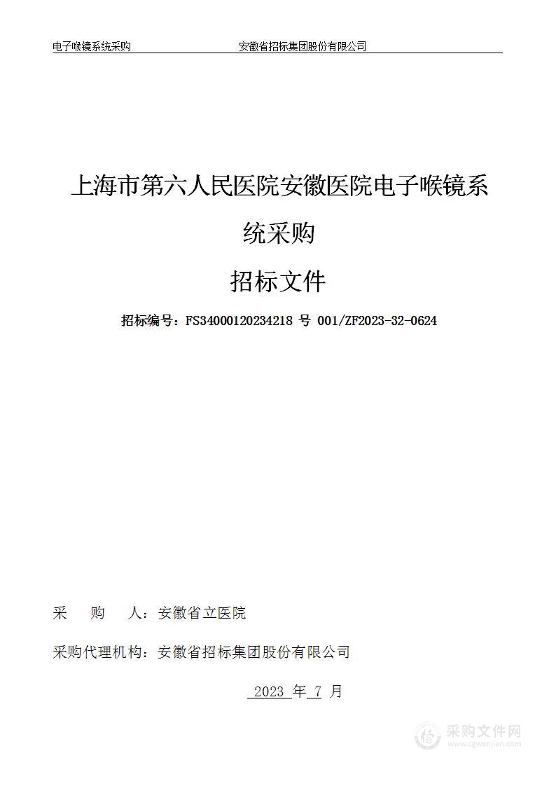 上海市第六人民医院安徽医院电子喉镜系统采购项目