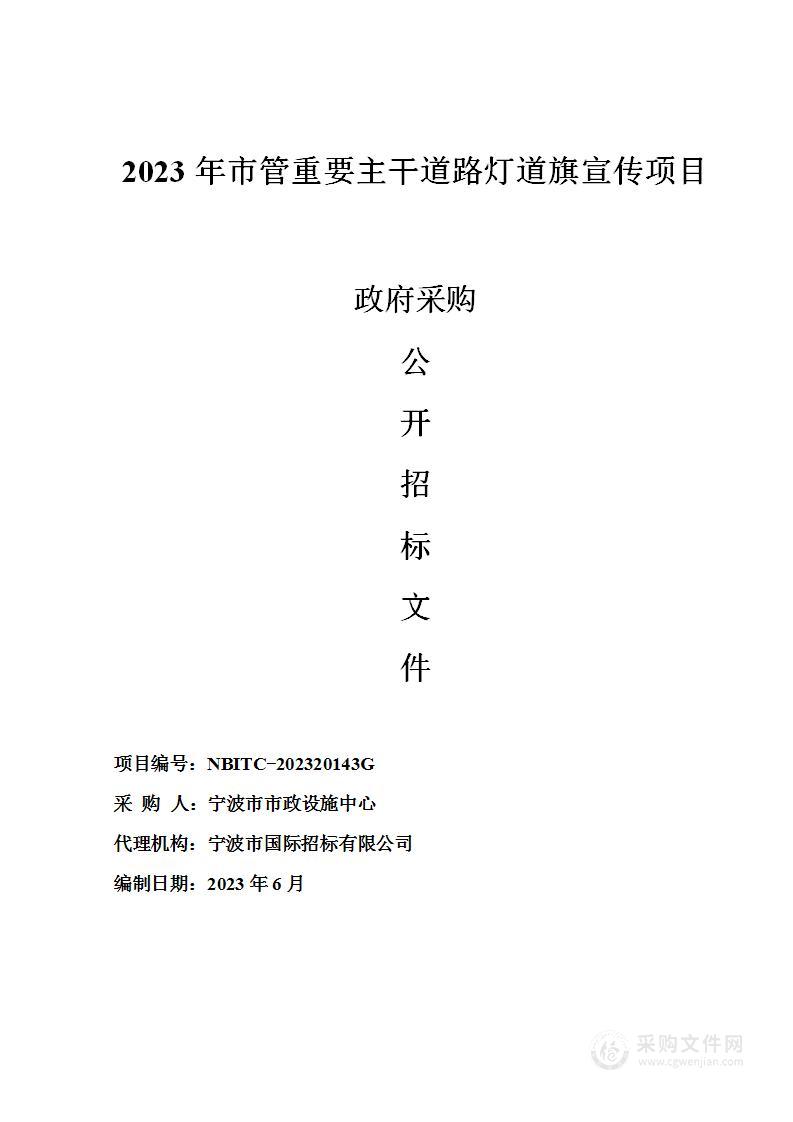 2023年市管重要主干道路灯道旗宣传项目