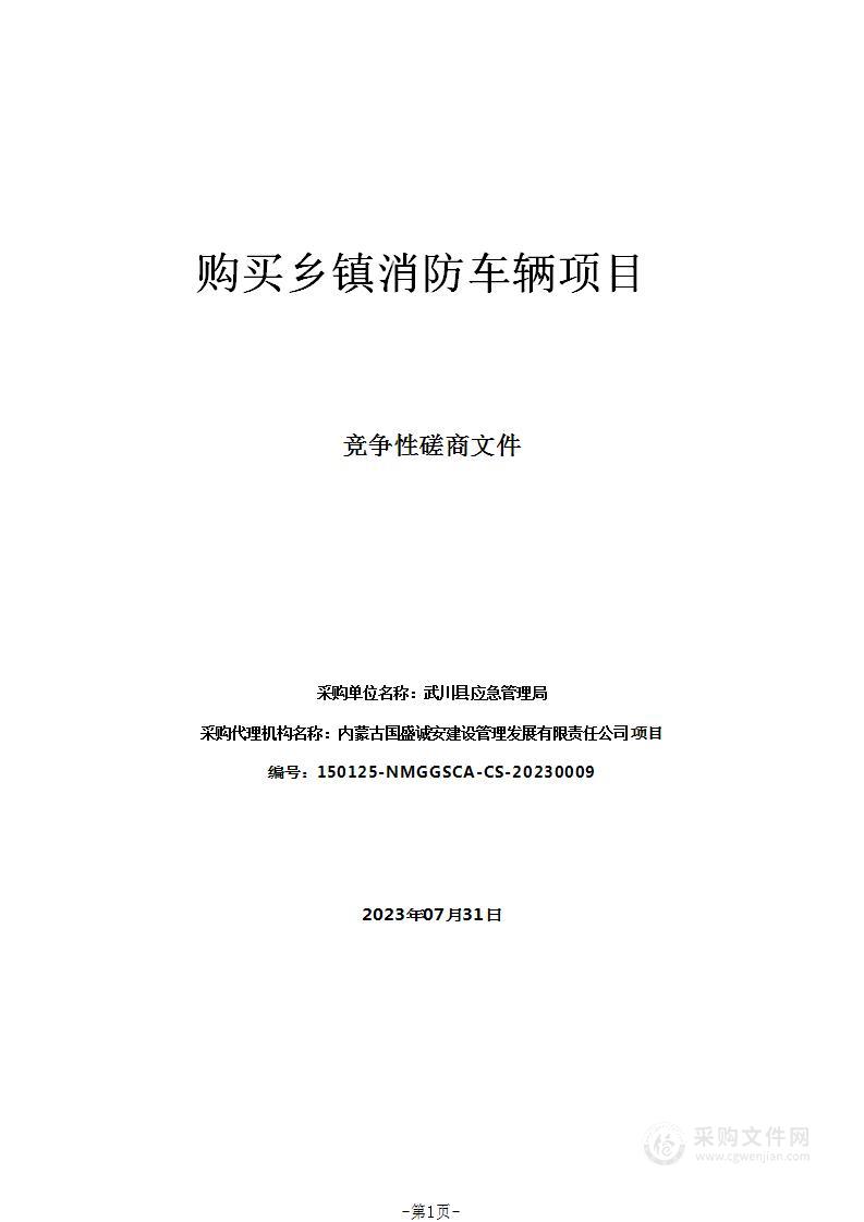 购买乡镇消防车辆项目