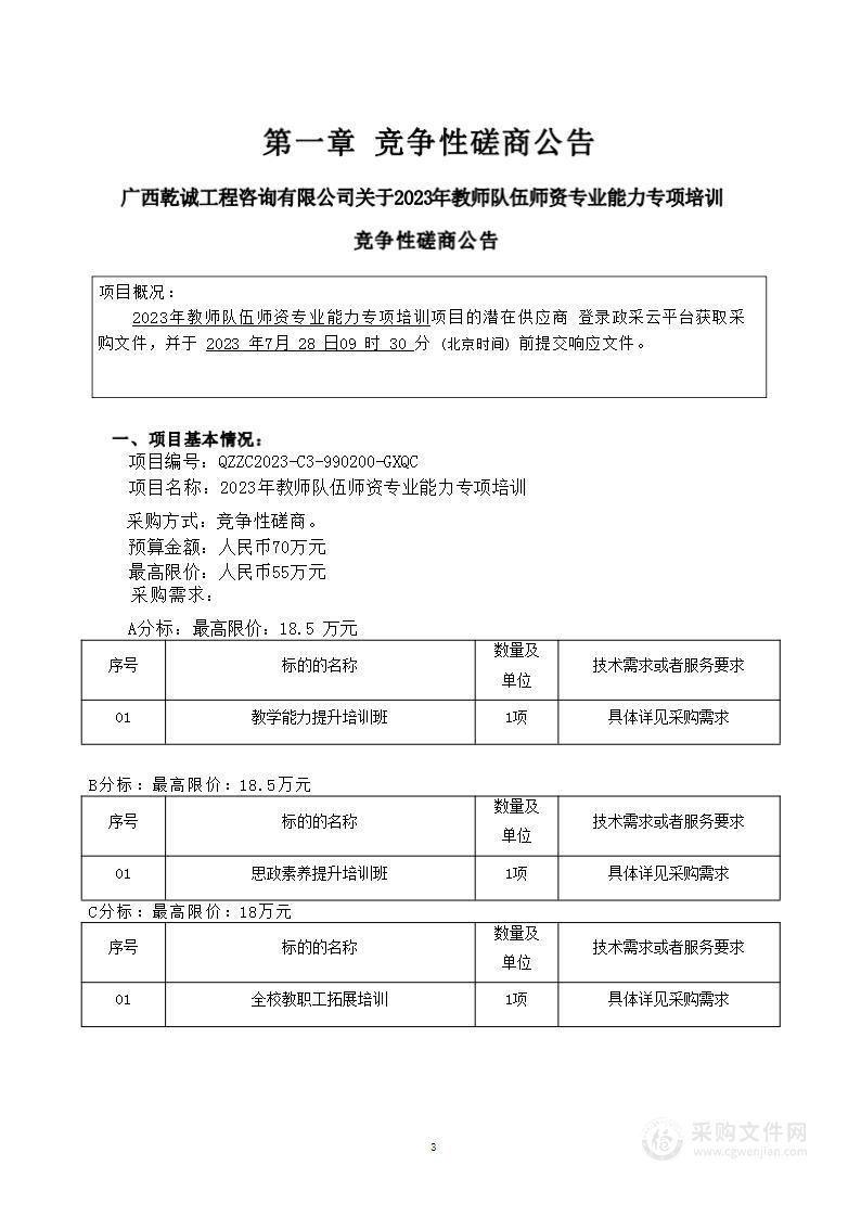 2023年教师队伍师资专业能力专项培训