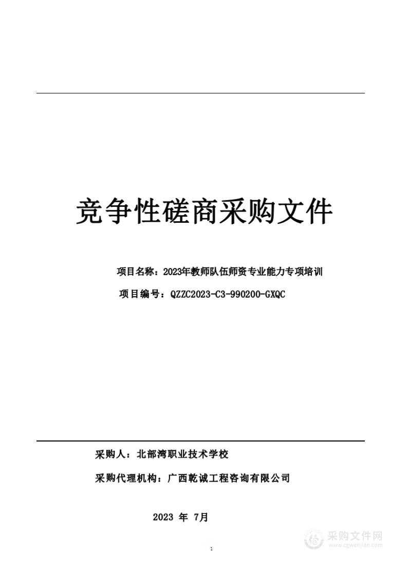 2023年教师队伍师资专业能力专项培训