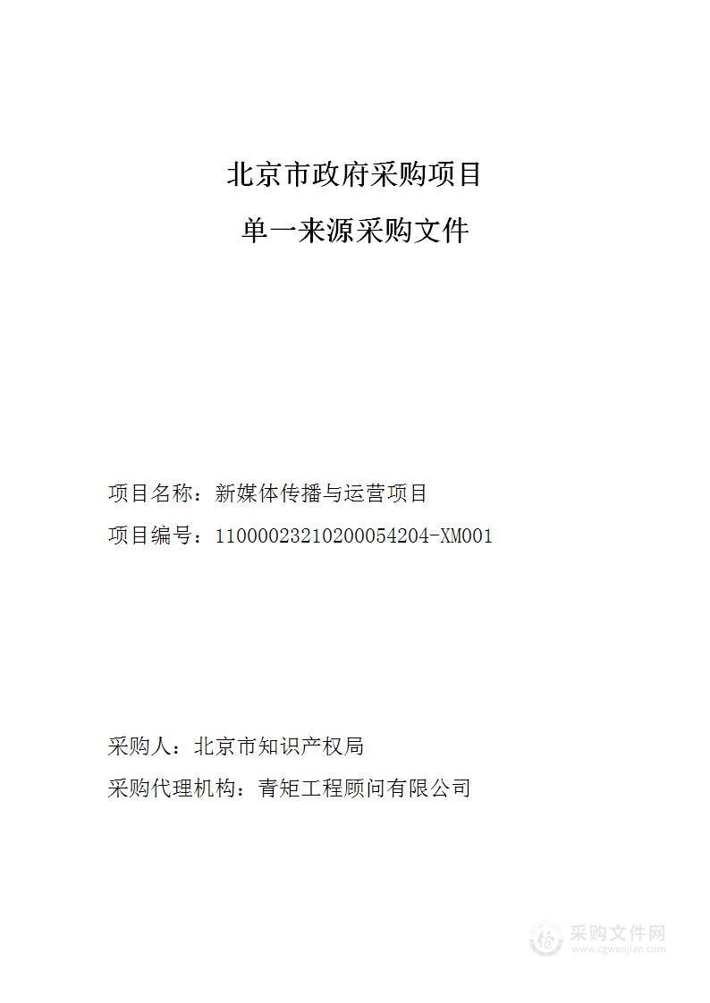 首都知识产权宣传普及其他专业技术服务采购项目