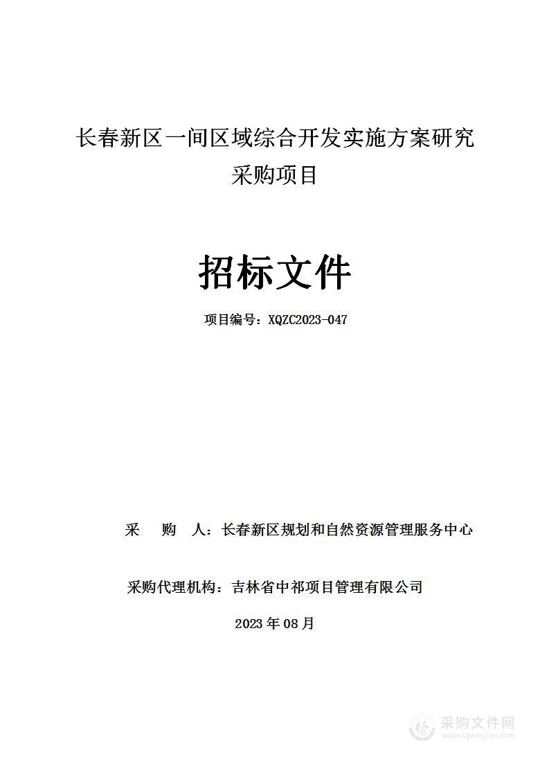 长春新区一间区域综合开发实施方案研究采购项目