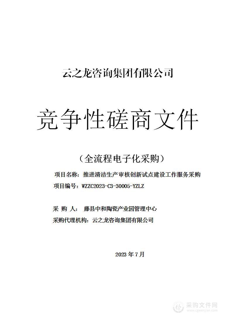 推进清洁生产审核创新试点建设工作服务采购