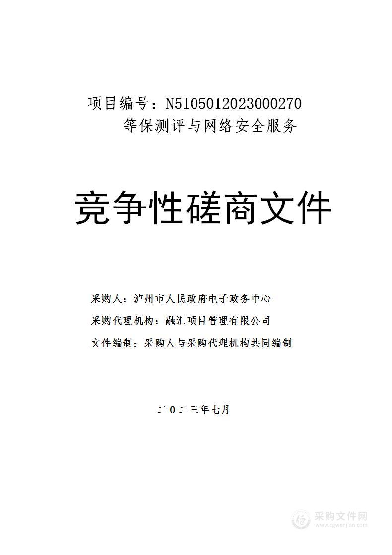 泸州市人民政府电子政务中心等保测评与网络安全服务