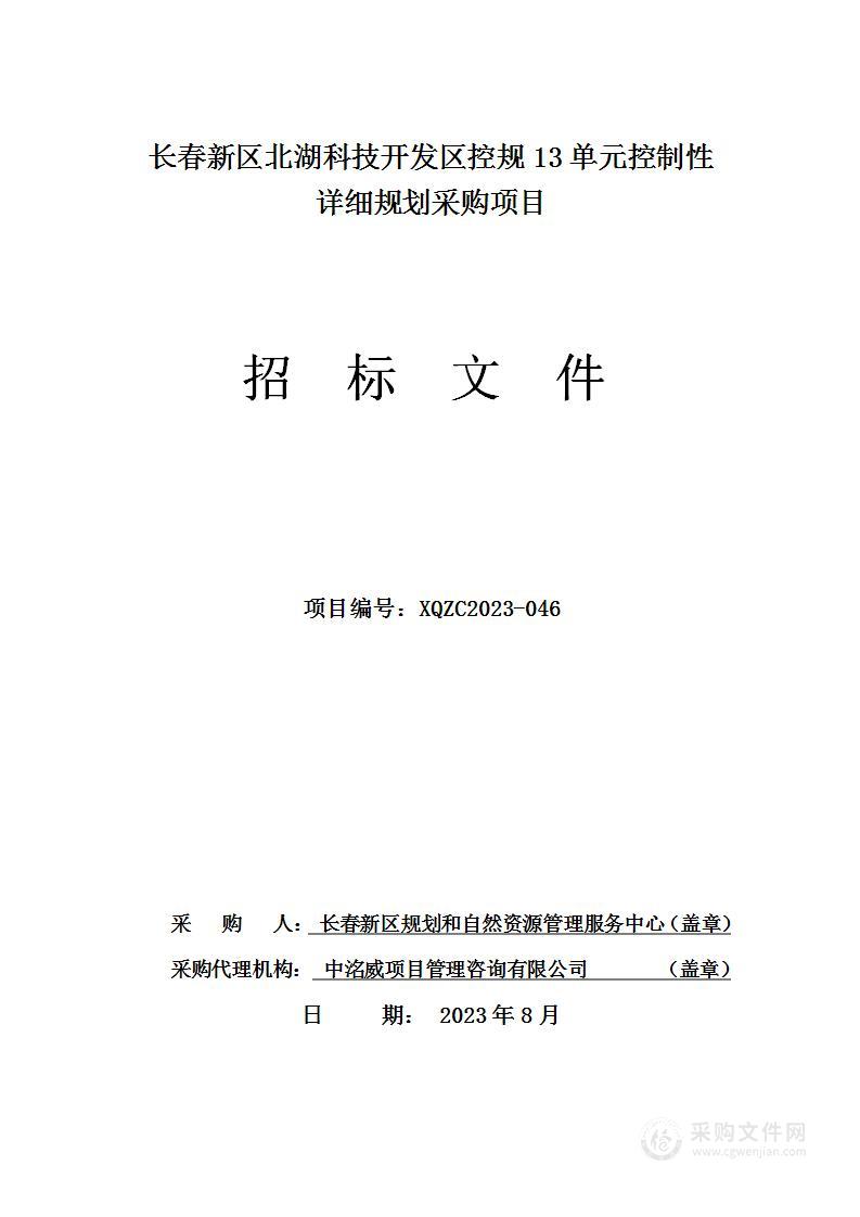 长春新区北湖科技开发区控规13单元控制性详细规划采购项目