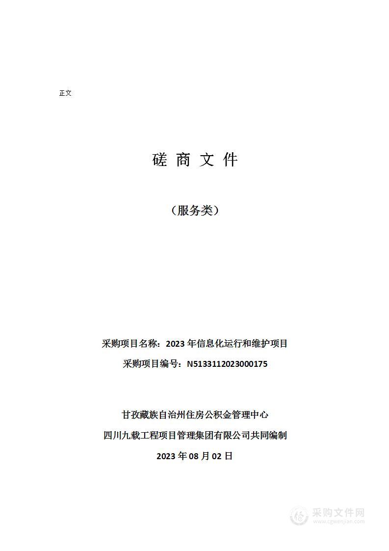 2023年信息化运行和维护项目