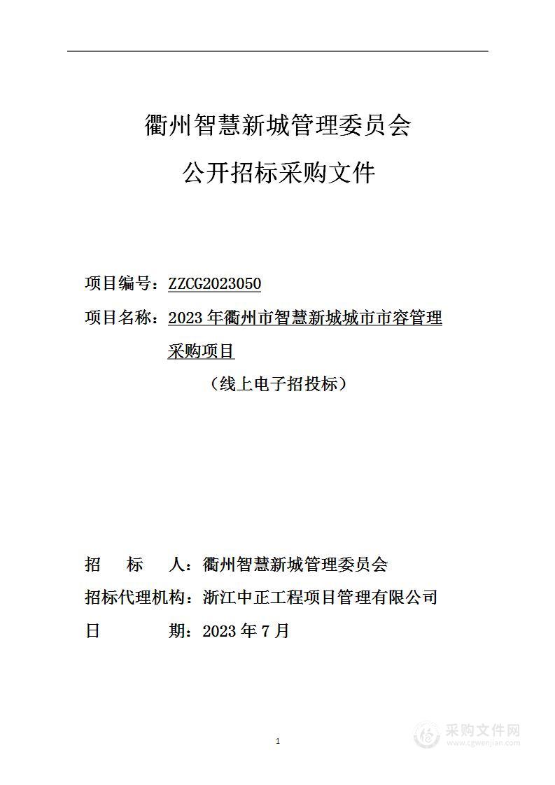 2023年衢州市智慧新城城市市容管理采购项目