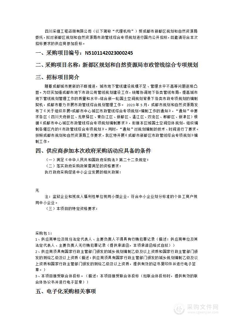 成都市新都区规划和自然资源局市政管线综合专项规划