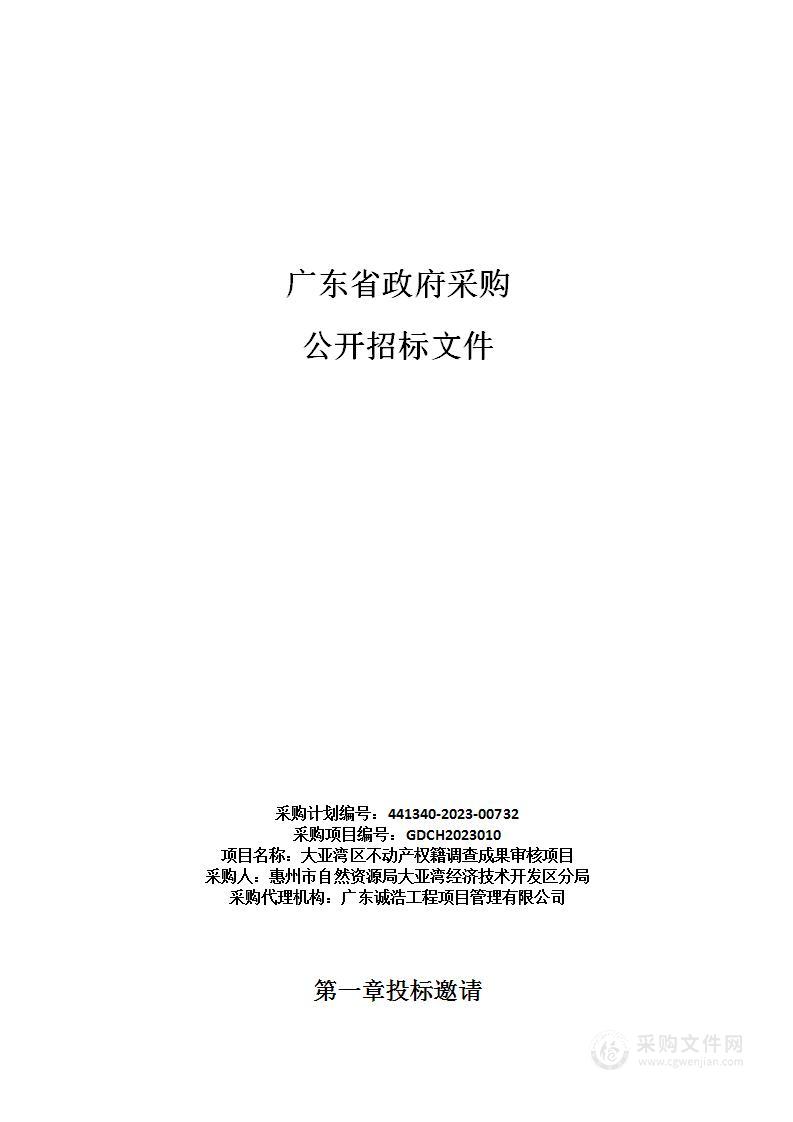 大亚湾区不动产权籍调查成果审核项目