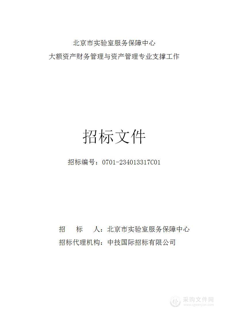 大额资产财务管理与资产管理专业支撑工作