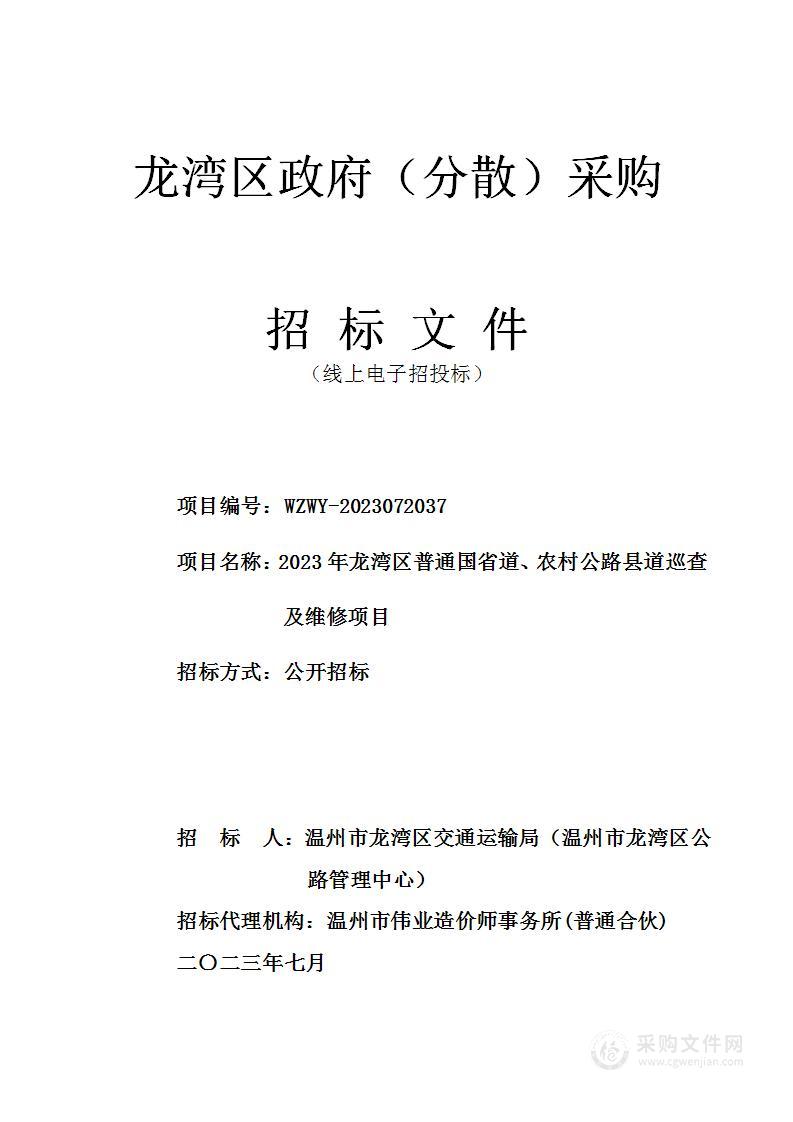 2023年龙湾区普通国省道、农村公路县道巡查及维修项目