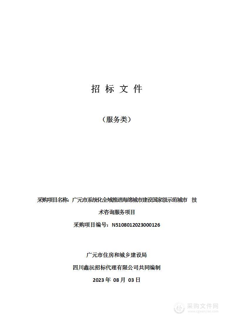 广元市系统化全域推进海绵城市建设国家级示范城市技术咨询服务项目