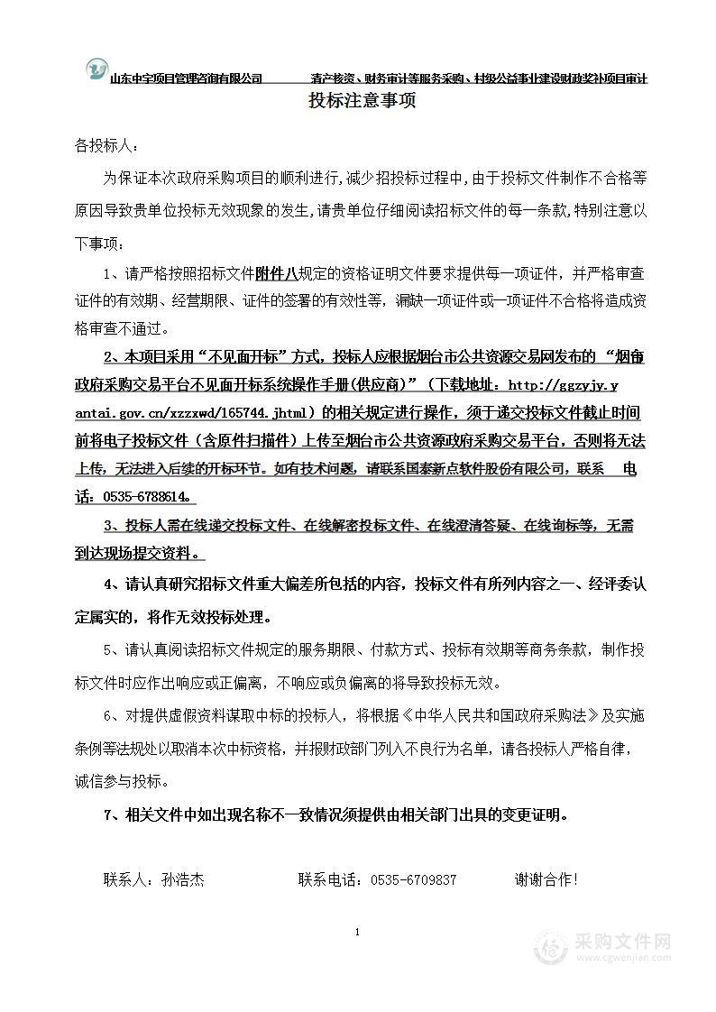 清产核资、财务审计等服务采购、村级公益事业建设财政奖补项目审计