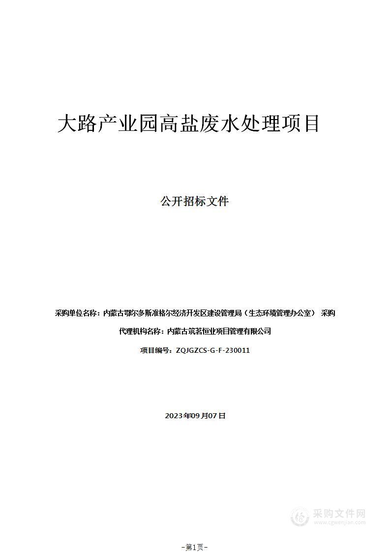 大路产业园高盐废水处理项目