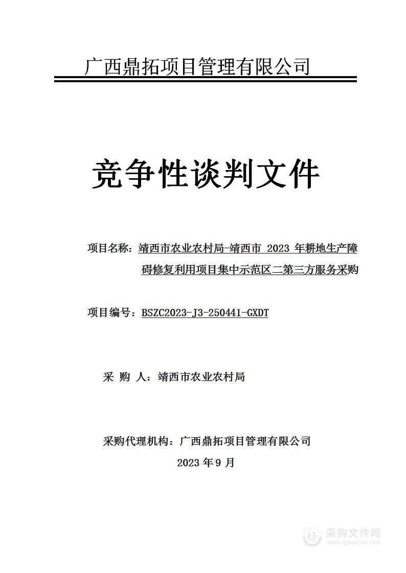 靖西市农业农村局-靖西市2023年耕地生产障碍修复利用项目集中示范区二第三方服务采购