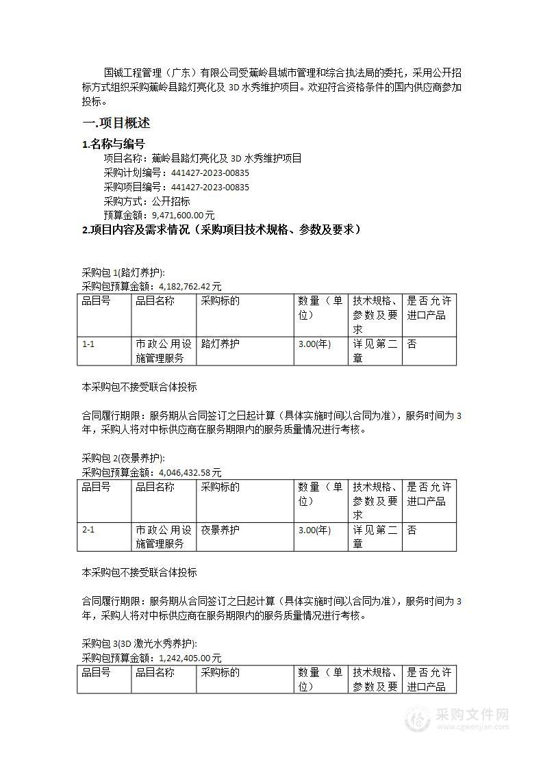 蕉岭县路灯亮化及3D水秀维护项目