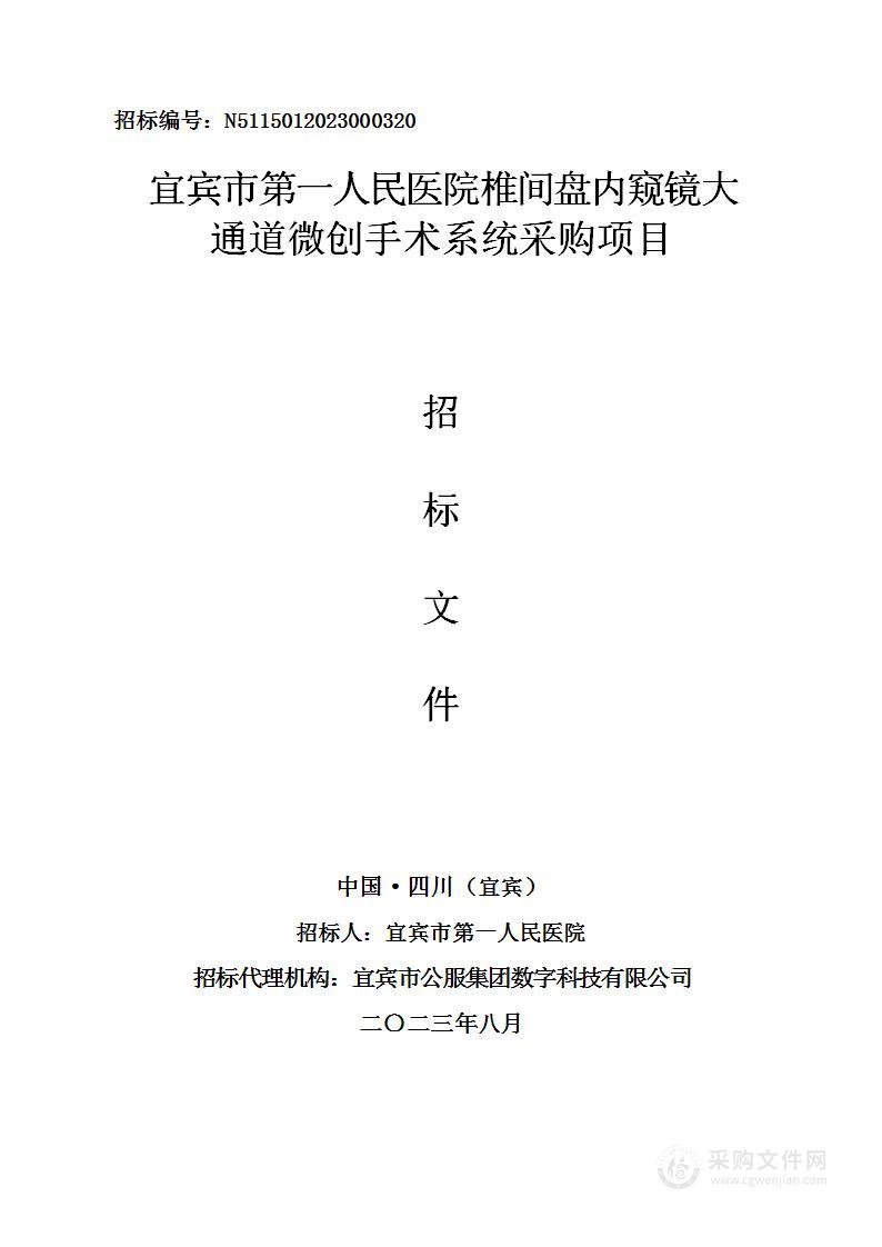 宜宾市第一人民医院椎间盘内窥镜大通道微创手术系统采购项目