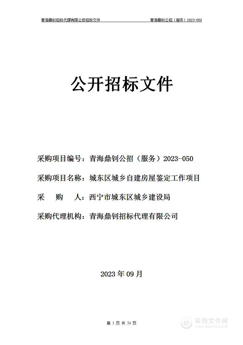 城东区城乡自建房屋鉴定工作项目