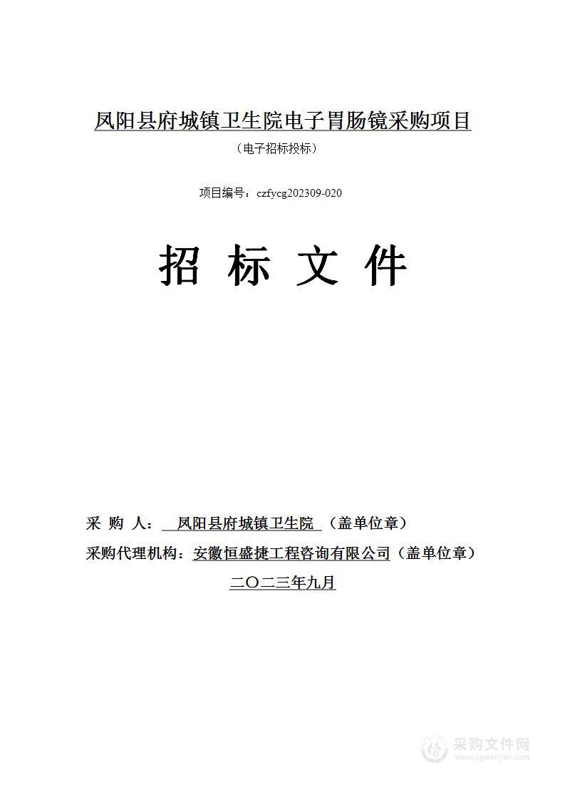 凤阳县府城镇卫生院电子胃肠镜采购项目