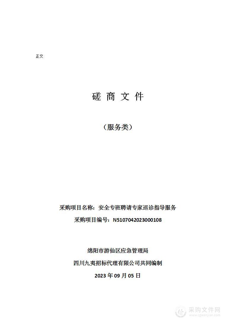 绵阳市游仙区应急管理局安全专班聘请专家巡诊指导服务