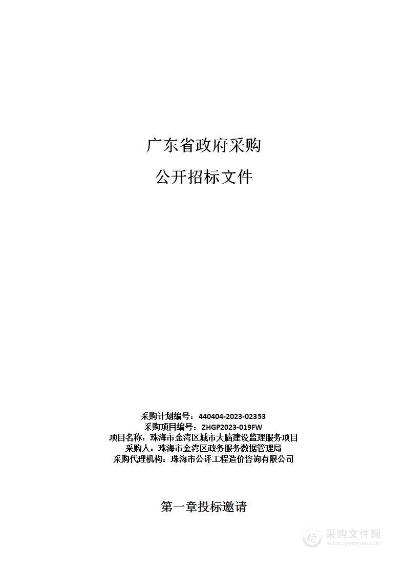 珠海市金湾区城市大脑建设监理服务项目