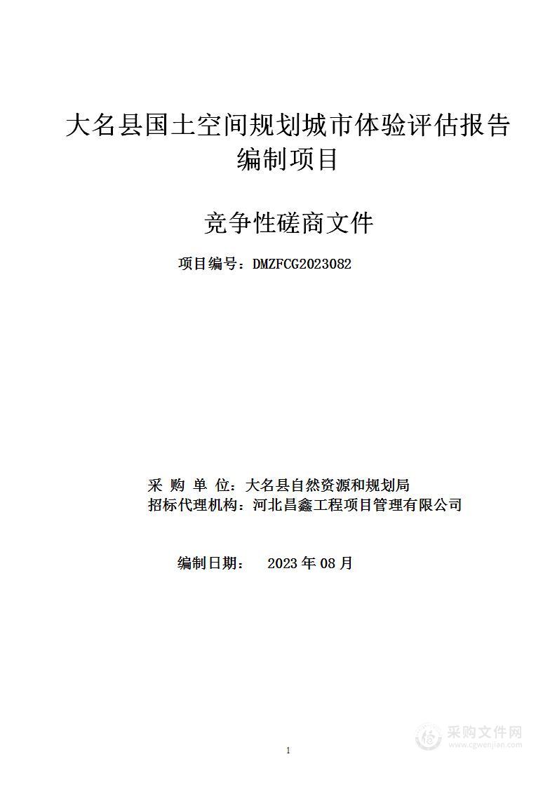 大名县国土空间规划城市体验评估报告编制项目