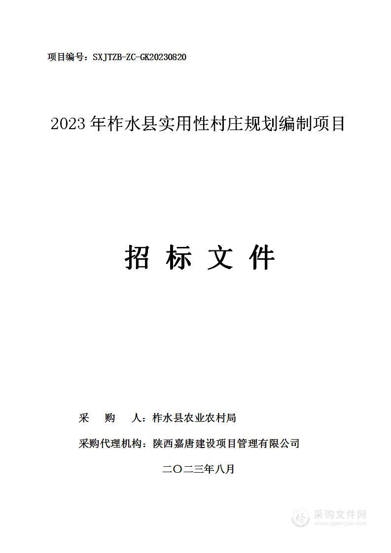 2023年柞水县实用性村庄规划编制项目
