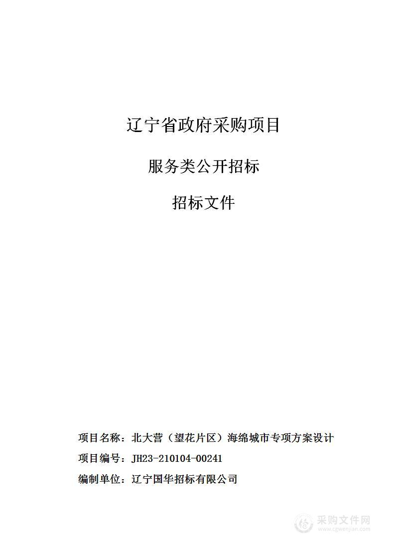 北大营（望花片区）海绵城市专项方案设计